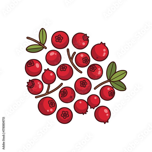Small bright red cranberries