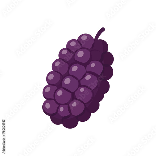 Dark purple mulberry with cute texture dots