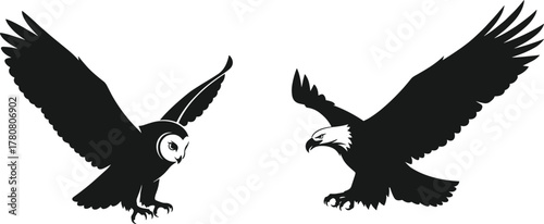Owl and eagle silhouette, predator birds in flight, black vector illustration, talons out, wildlife graphic, nature animal pose, comparison