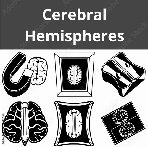 Set icon of cerebral hemispheres depicted in monochrome illustrations  