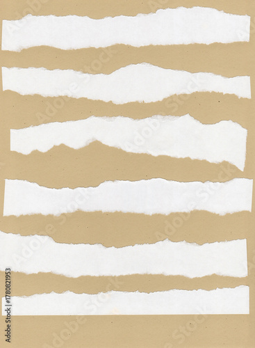 Zerrissenes Papier