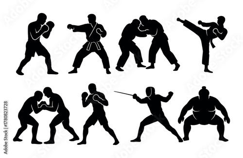 Silhouette of diverse martial arts techniques by male participants