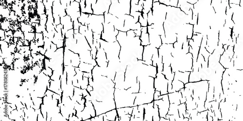 Cracked barren desert earth on transparent white background. Crack concrete white wall or Cement wall background. Broken wall background. Distressed paint crack texture, vector illustration, grunge 