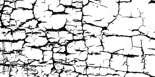 Cracked barren desert earth on transparent white background. Crack concrete white wall or Cement wall background. Broken wall background. Distressed paint crack texture, vector illustration, grunge 