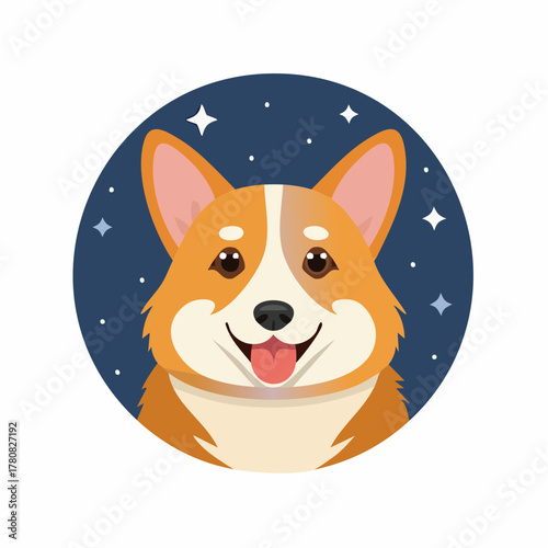 A cute cartoon corgi dog smiling happily with its tongue out, set against a dark blue starry night sky background.