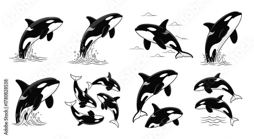 A collection of black and white illustrations depicting orcas, or killer whales, in various dynamic jumping and swimming poses.