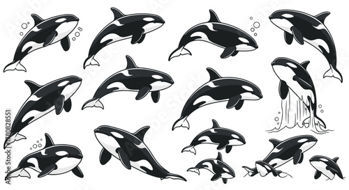 A collection of black and white cartoon illustrations of orcas in various dynamic swimming and jumping poses.