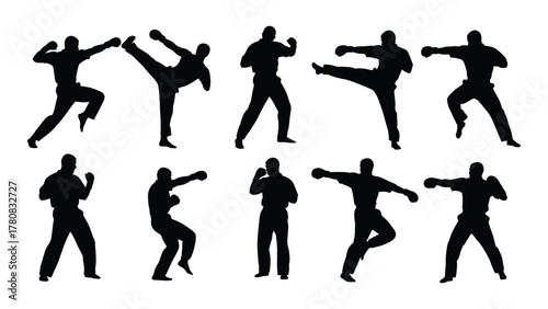 Martial arts fighters silhouettes isolated on transparent background, Vector