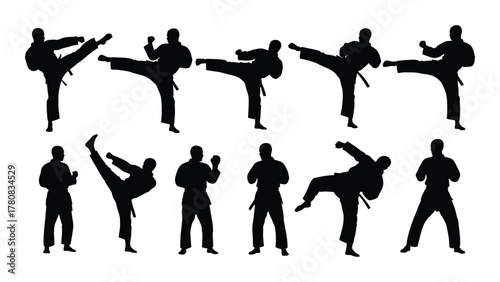 Martial arts silhouettes collection isolated on transparent background, Vector