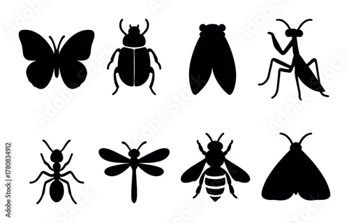 Silhouetted insect collection featuring butterfly, beetle, and mantis