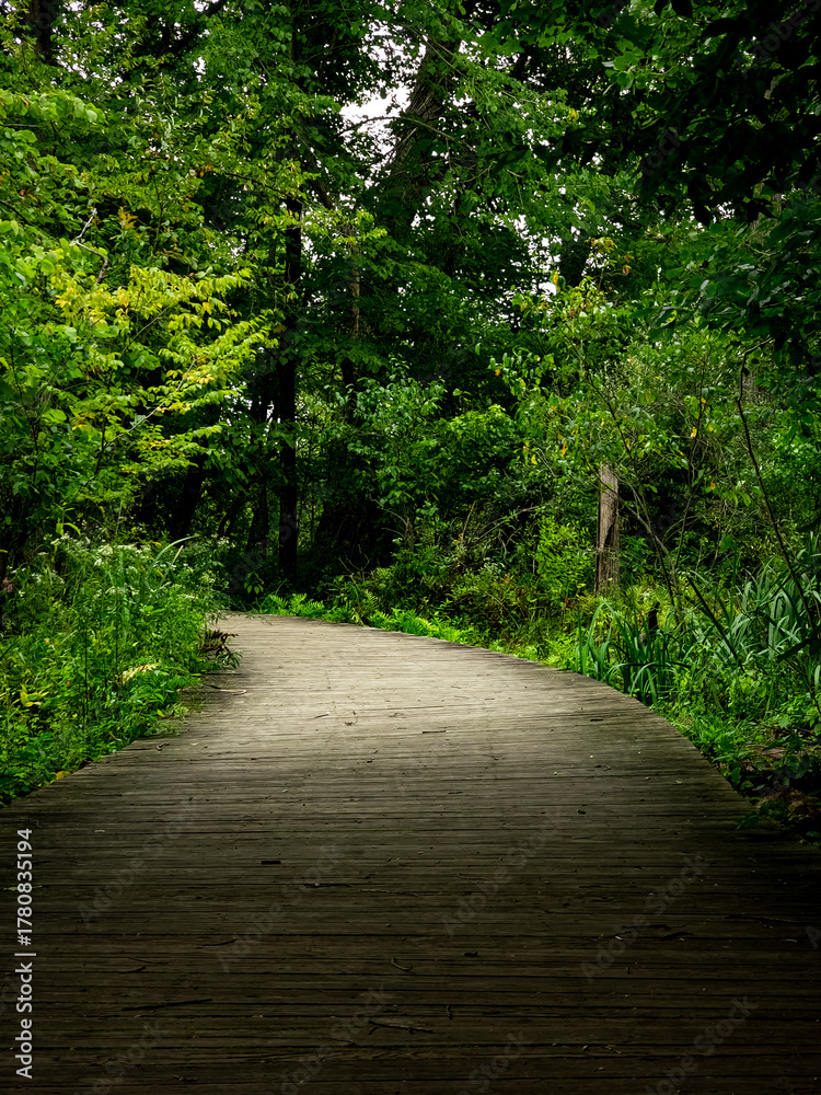Obraz premium a boardwalk path on a nature trail at a michigan state park leading to the unknown