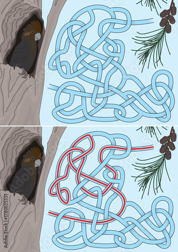 Black cockatoo maze