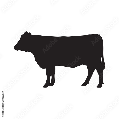 Beautiful black angus cattle silhouette vector flat illustration design on white background