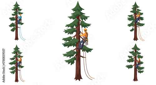 Lumberjack climbing trees safety gear and techniques