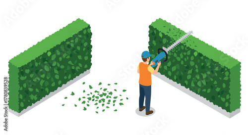 Gardener trimming green hedge with electric hedge trimmer in isometric style