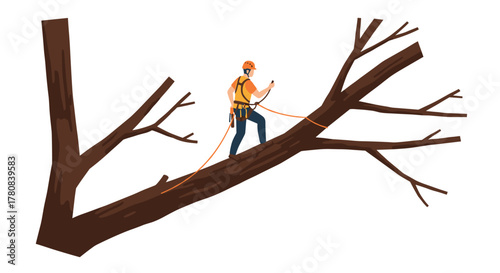 Worker climbing tree in safety gear for professional arboriculture task