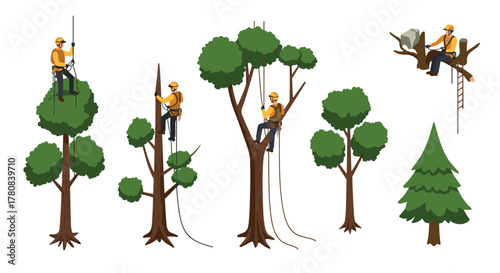 Tree pruning workers in safety gear performing tree maintenance tasks