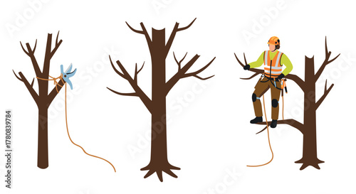 Arborist pruning trees safely using harness and equipment