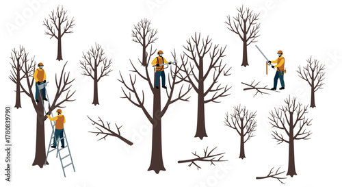Arborists pruning winter trees workers trimming branches in safety gear