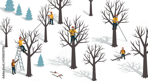 Arborists pruning trees in winter landscape with snow and pine trees