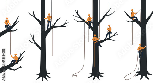 Tree climbing safety techniques with ropes and harnesses