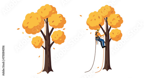 Autumn tree climbing scene with arborist in vibrant fall colors
