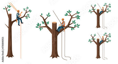 Tree pruning arborist in action with safety gear and equipment