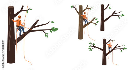 Tree climber safely pruning branches arborist in action with safety gear