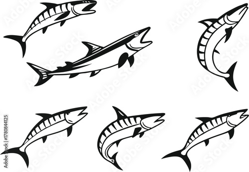 Dynamic barracuda collection, originally a vector illustration perfect for fishing brands, seafood menus and bold marine designs