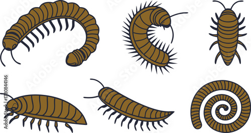 Detailed illustration of millipedes and pillbugs, perfect for educational resources, nature guides, and insect studies now available as a scalable graphic
