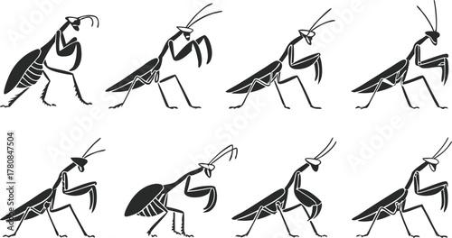 Striking praying mantis insect collection in dynamic poses, originally a scalable vector graphic, ideal for entomology and nature studies projects