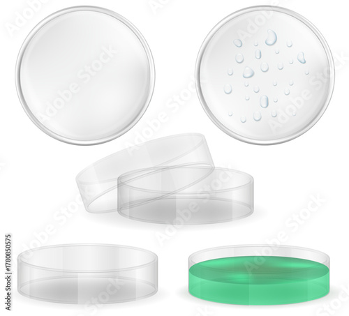 dish petri for chemical and biological research cartoon stock vector illustration isolated on white background