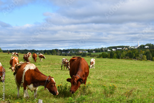 A farm in summer, Saint-Marcel, Québec, Canada