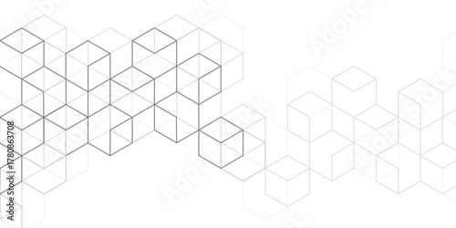 White background from cubes and lines. Abstract architecture. Linear geometric drawing. Vector illustration.
