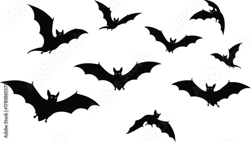 Silhouette of bats flying isolated on white background for halloween night