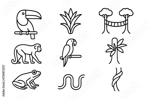 Rainforest Canopy Icons. Line style icons of Rainforest Canopy: Toucan, Bromeliad, Canopy Walkway, Howler Monkey, Macaw, Epiphyte,