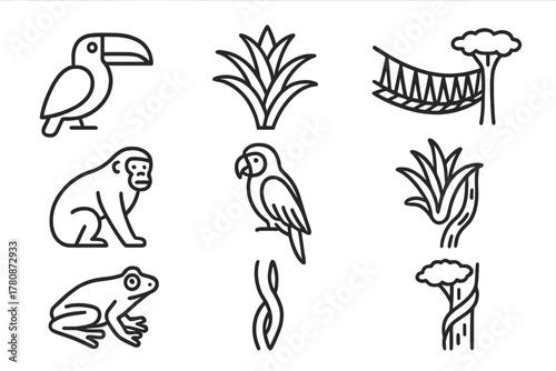 Rainforest Canopy Icons. Line style icons of Rainforest Canopy: Toucan, Bromeliad, Canopy Walkway, Howler Monkey, Macaw, Epiphyte,