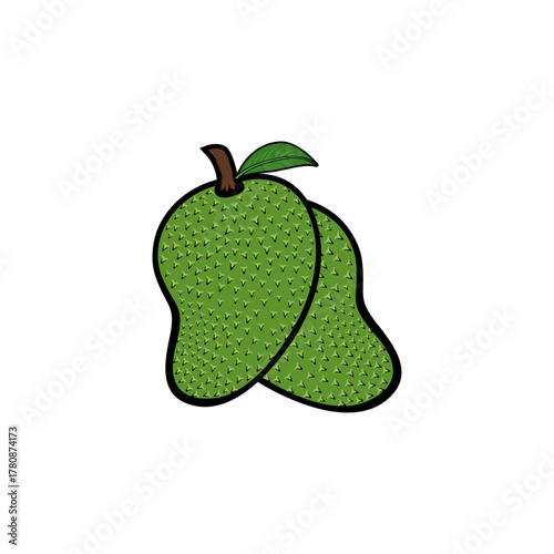 two soursops and a leaf vector illustration