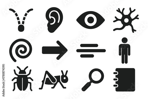 Insect Sensory Icons. Solid style icons of insect sensory biology: antenna, ear, eye, neuron, spiral, arrow, motion line,