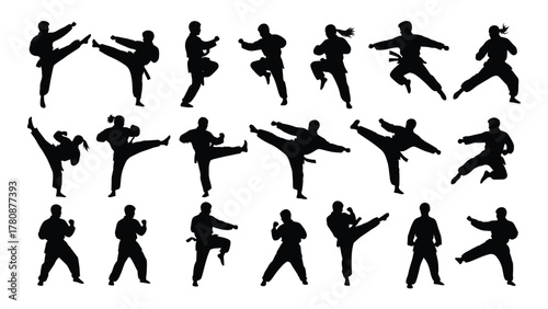 Martial arts poses silhouettes isolated on transparent background, Vector