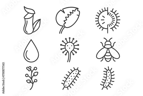Carnivorous Plants Icons. Line style icons of Carnivorous Plant: Pitcher Plant, Trap Leaf, Venus Flytrap, Digestive Fluid, Sundew,
