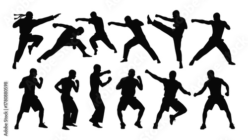 Martial arts and fighting silhouettes collection isolated on transparent background, Vector