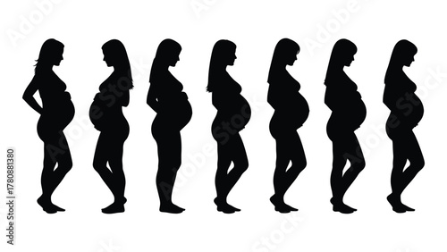 Pregnant women silhouettes isolated on transparent background, Vector