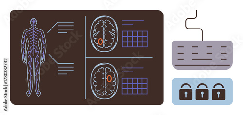 Human body diagram, brain scans, keyboard, and locks emphasizing secure healthcare data, electronic health records, cybersecurity, neuroscience, technology, privacy and protection in a simple flat