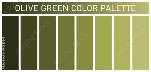 Different shades of  pink color. pink Color Chart. Trendy color palette swatch set. Vector illustration.