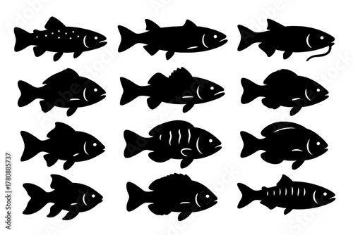 Fish Species Icons. Solid style icons of Fish types: trout, salmon, bass, catfish, carp, pike, perch, goldfish, rainbow fish,