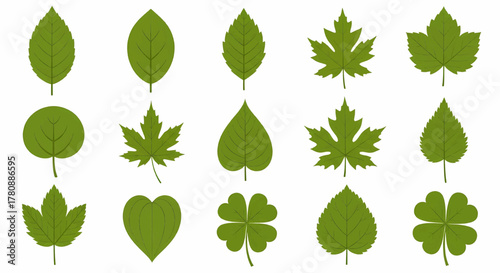 Set of assorted green leaf icons showing different plant and tree species. A flat design vector illustration