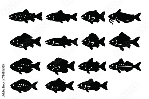 Fish Species Icons. Solid style icons of Fish types: trout, salmon, bass, catfish, carp, pike, perch, goldfish, rainbow fish,