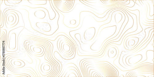 Abstract white background with golden gradient Topographic line map and shadows . Contour elevation topographic and textured Background Modern design White background with topographic wavy pattern.	