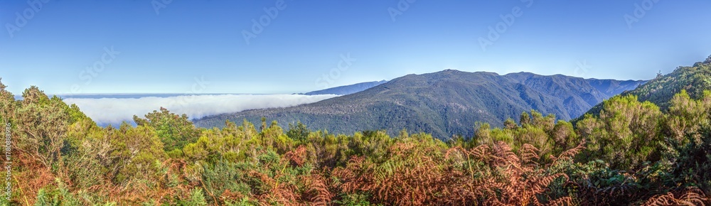 Naklejka premium Valley with clouds and forest on Madeira island